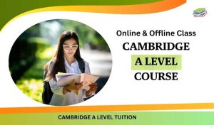 Cambridge A Level Tuition