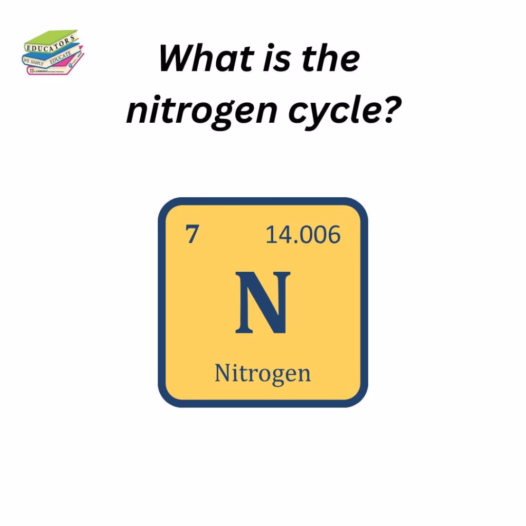 what is the nitrogen cycle